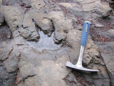 dinosaur museum tumbler ridge